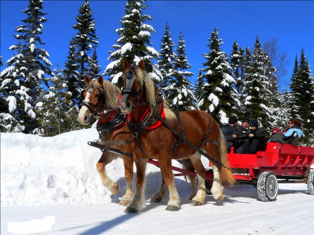 Red Sleigh in the snow pulled by two horses